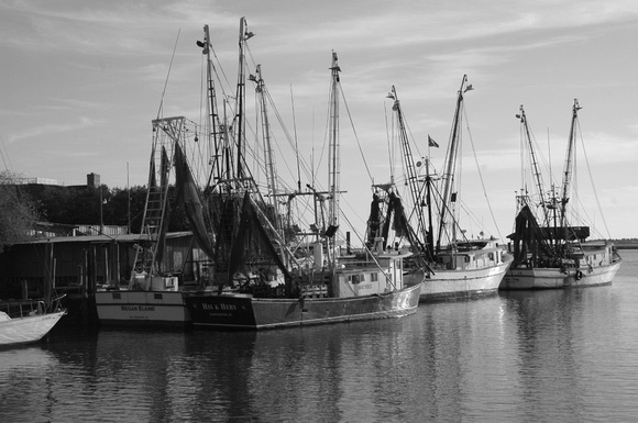 Shrimp boats Black and White
