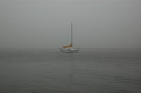 Compass Rose anchored in the fog