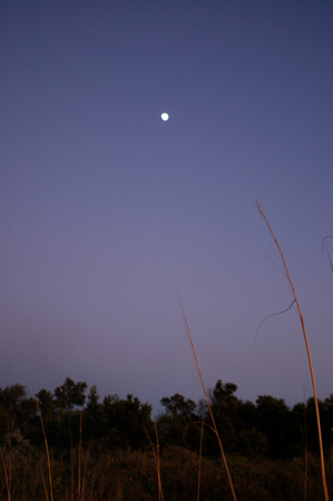 moon over Morris Island