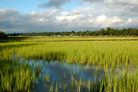 Shem Creek marsh
