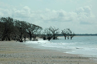 Botany Bay Plantation beach