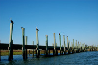 dock at Shem Creek