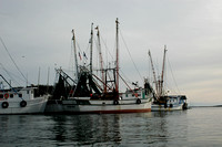 shrimp boats Shem Creek