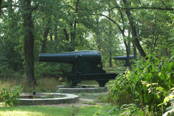 cannon at Ft. Foote