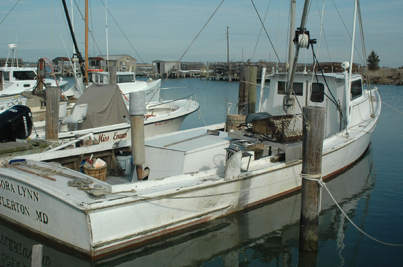 Chesapeake Deadrise workboats