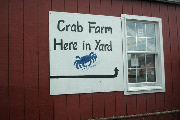 Crab Farm on Tangier