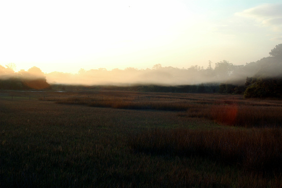 Fog bank over the marsh