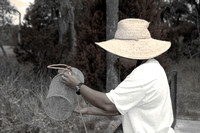 Gullah in sepia