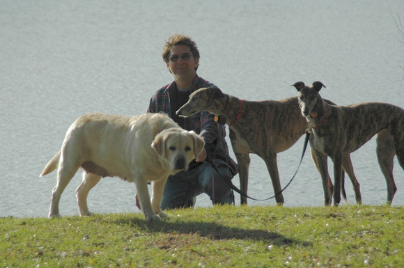 David and the Dogs